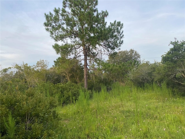 45811 Mcleod Rd, Myakka City, FL 34251 - photo 5