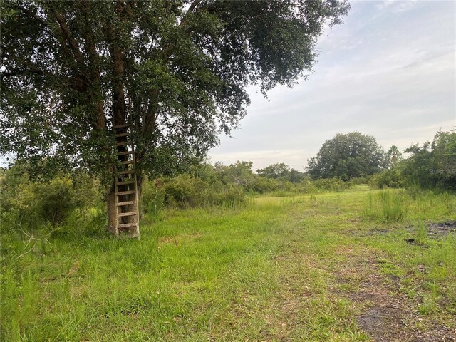 45811 Mcleod Rd, Myakka City, FL 34251 - photo 6