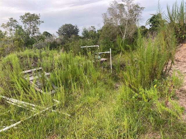 45811 Mcleod Rd, Myakka City, FL 34251 - photo 7