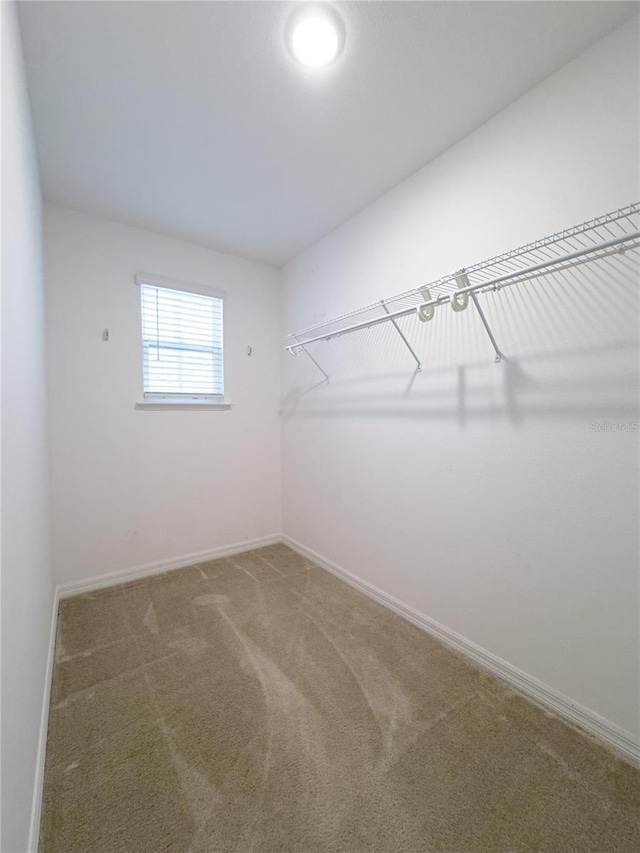 3850 Hampstead Ln, Lakeland, FL 33810 - walk in closet featuring carpet flooring