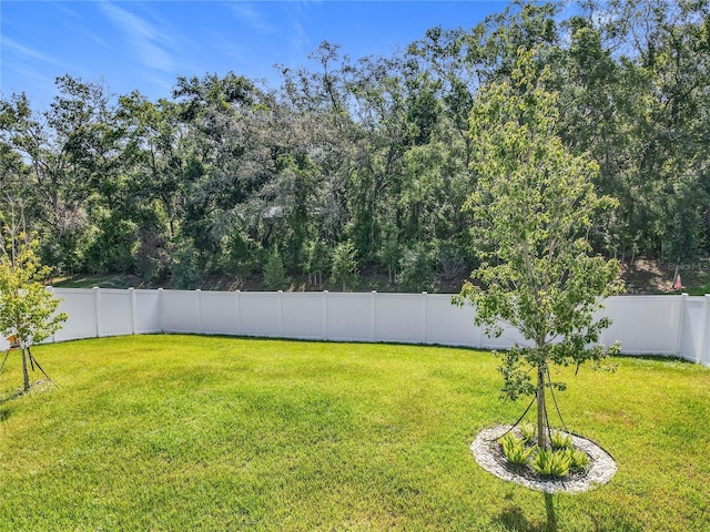 2044 Keystone Pass Blvd, Minneola, FL 34715 - view of fenced backyard
