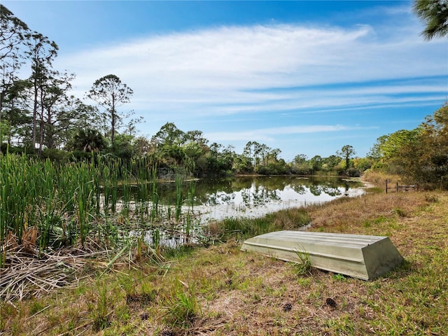 233 Snyder Dr, Venice, FL 34292 - photo 46