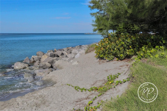 233 Snyder Dr, Venice, FL 34292 - photo 49
