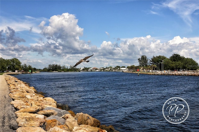 233 Snyder Dr, Venice, FL 34292 - photo 50