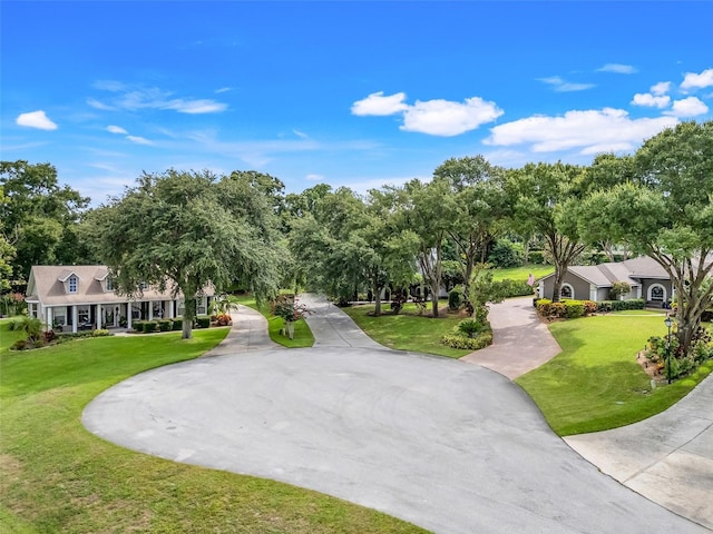 11442 Beggs Ct, Clermont, FL 34711 - view of home's community with a lawn, view of scattered trees, and curved driveway
