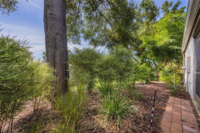 7755 High Pine Rd, Orlando, FL 32819 - view of yard
