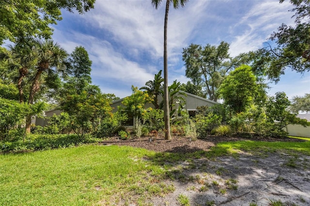 7755 High Pine Rd, Orlando, FL 32819 - view of yard