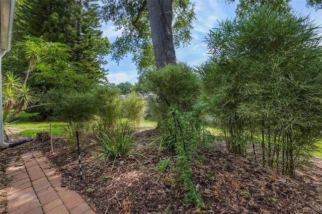 7755 High Pine Rd, Orlando, FL 32819 - view of yard