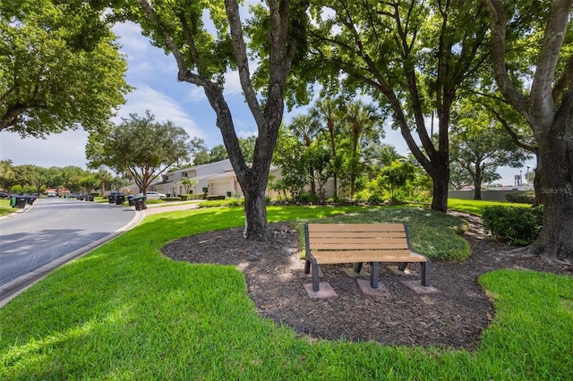 7755 High Pine Rd, Orlando, FL 32819 - view of community featuring a lawn