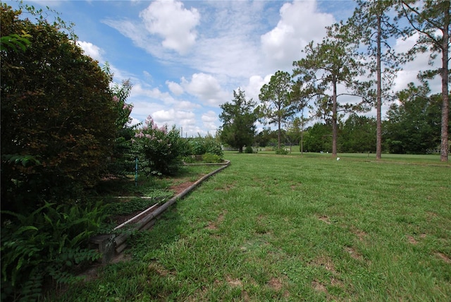 35807 Nova Ln, Eustis, FL 32736 - photo 36