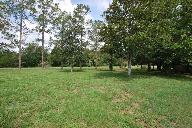 35807 Nova Ln, Eustis, FL 32736 - photo 37