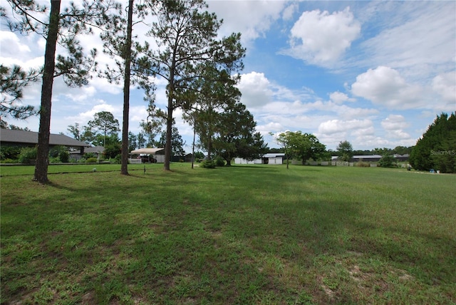 35807 Nova Ln, Eustis, FL 32736 - photo 35