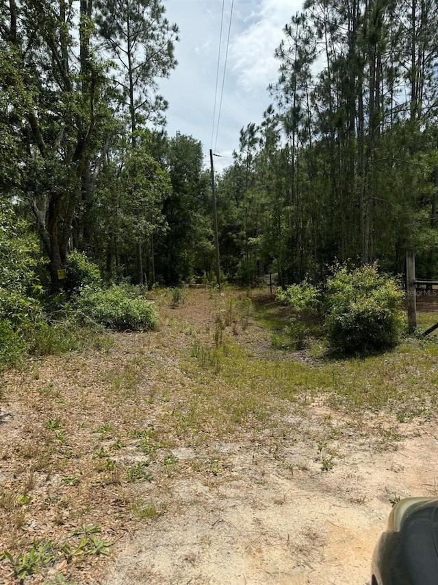 Oil Well Rd, Clermont, FL 34714 - photo 3