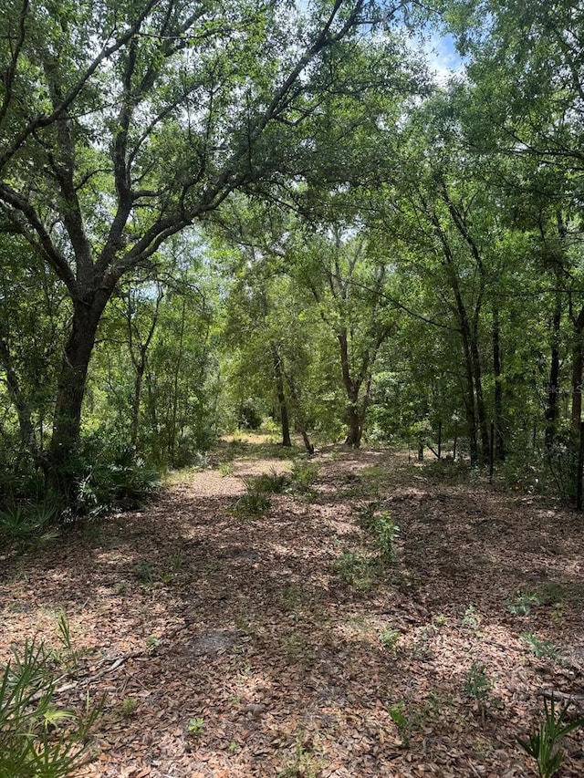 Oil Well Rd, Clermont, FL 34714 - photo 5