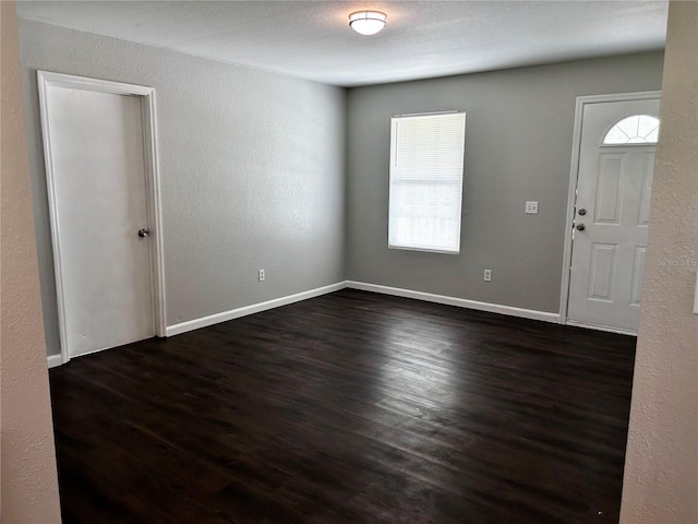 3304 Dew Berry Ave, Apopka, FL 32712 - empty room with plenty of natural light, dark wood-style flooring, and a textured wall