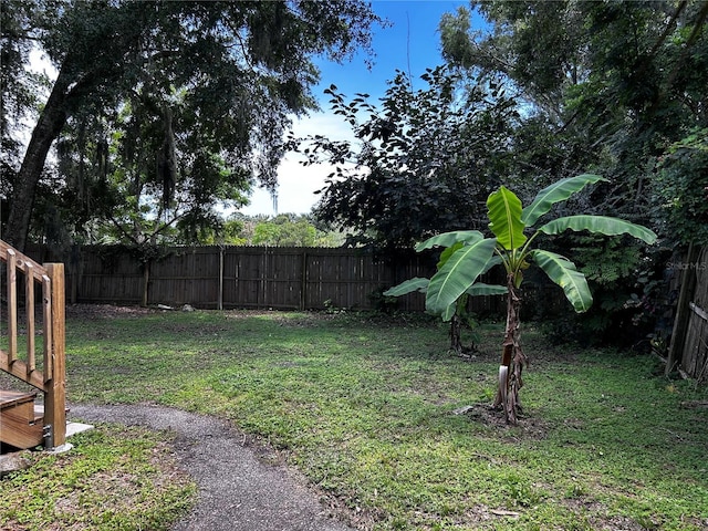 3304 Dew Berry Ave, Apopka, FL 32712 - view of fenced backyard
