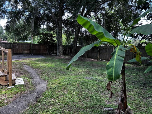 3304 Dew Berry Ave, Apopka, FL 32712 - view of fenced backyard