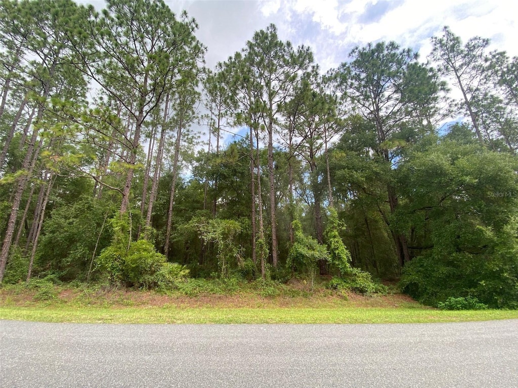 61st Place Rd, Ocala, FL 34481 - photo 1