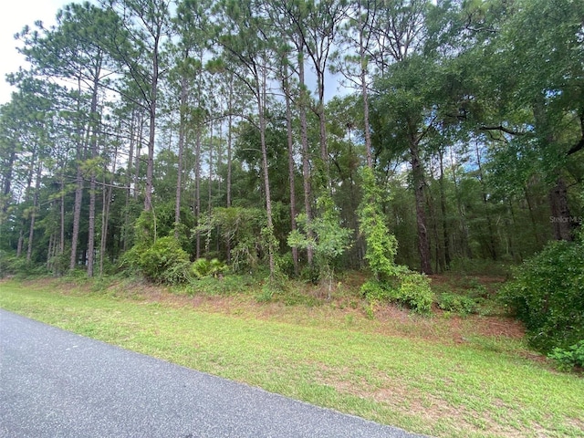 61st Place Rd, Ocala, FL 34481 - photo 2