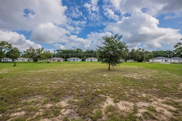 113 W 13th St, Apopka, FL 32703 - photo 5