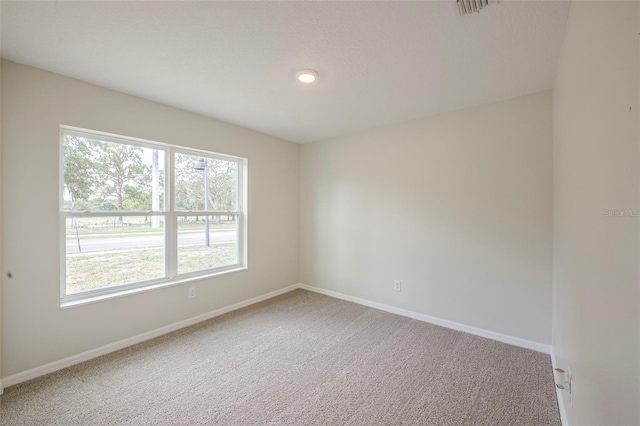 113 W 13th St, Apopka, FL 32703 - photo 20