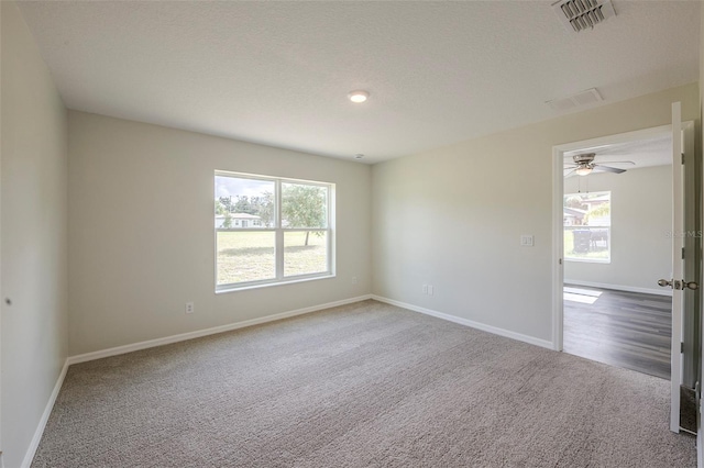 113 W 13th St, Apopka, FL 32703 - photo 24
