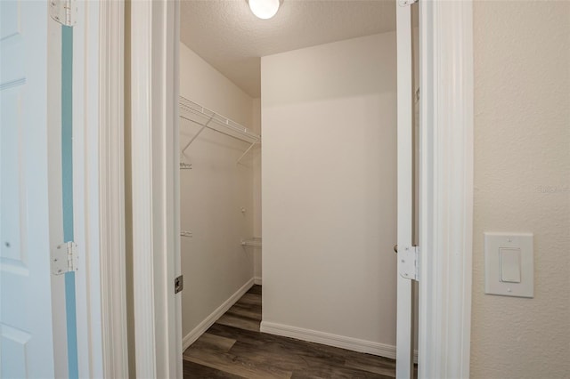 113 W 13th St, Apopka, FL 32703 - photo 25