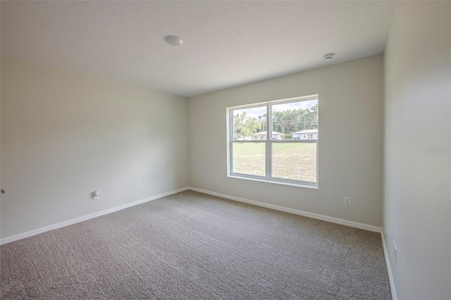 113 W 13th St, Apopka, FL 32703 - photo 27