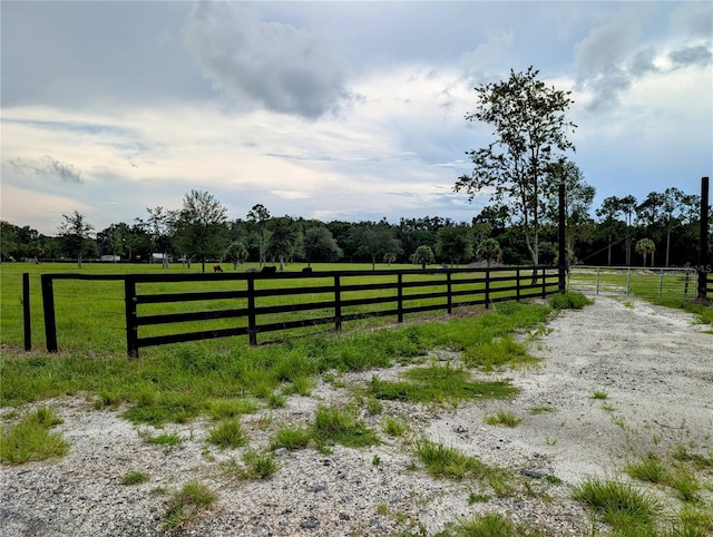 Peterson Rd, Pierson, FL 32180 - photo 2