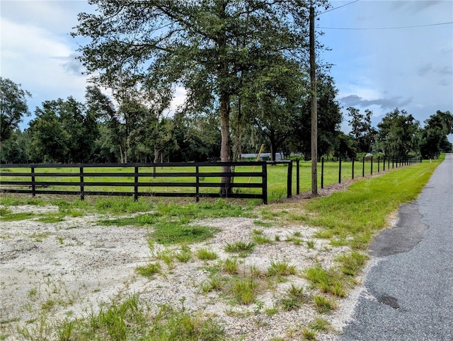 Peterson Rd, Pierson, FL 32180 - photo 3