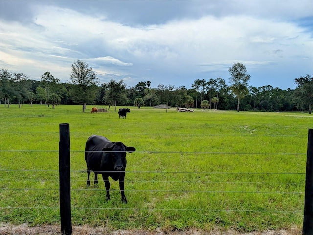 Peterson Rd, Pierson, FL 32180 - photo 5