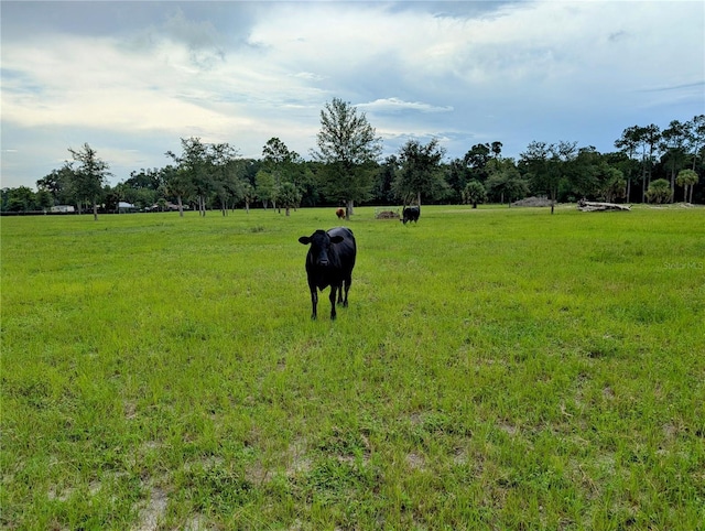Peterson Rd, Pierson, FL 32180 - photo 6