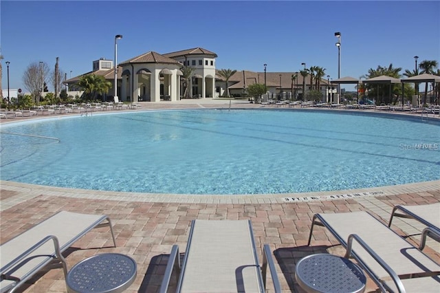 view of swimming pool with a patio area