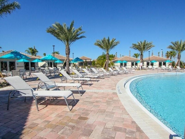 view of pool with a patio