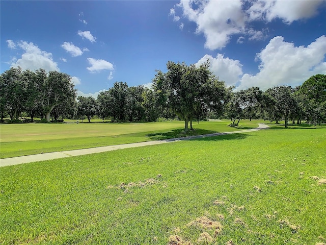 view of home's community with a lawn