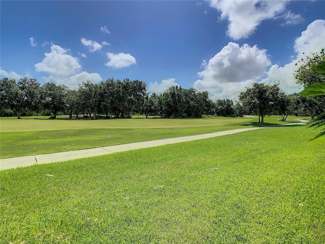 surrounding community featuring a yard