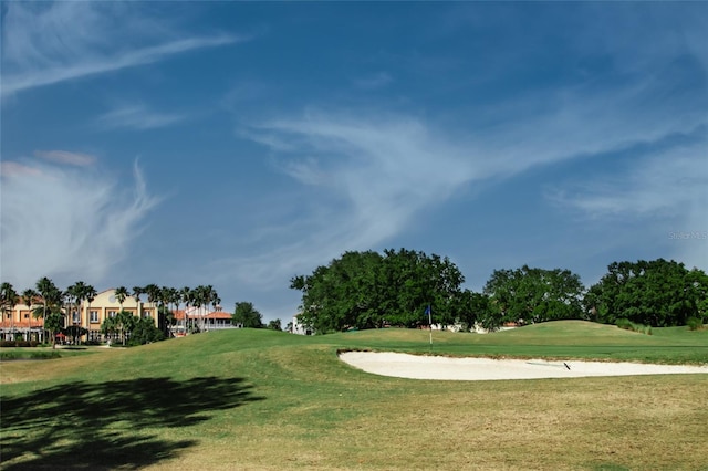 view of home's community with a lawn