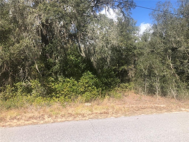 6092 Idle A While Cir Unit 31, Dade City FL, 33523 land for sale