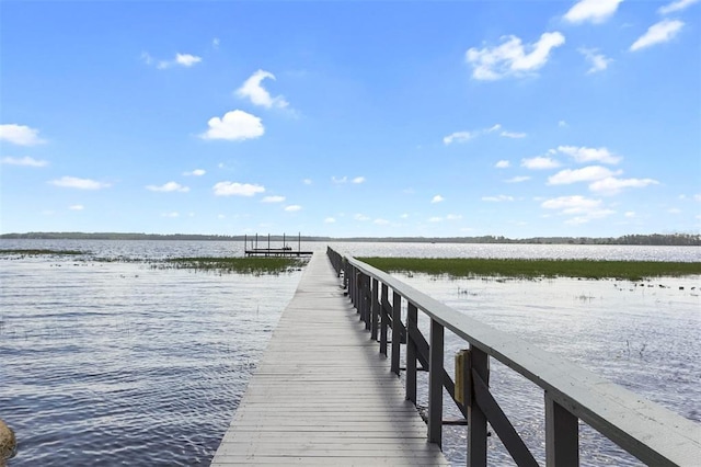 dock area with a water view