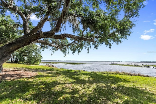 5575 Alligator Lake Rd, Saint Cloud, FL 34772 - photo 22