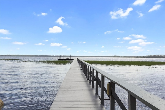 5575 Alligator Lake Rd, Saint Cloud, FL 34772 - photo 26