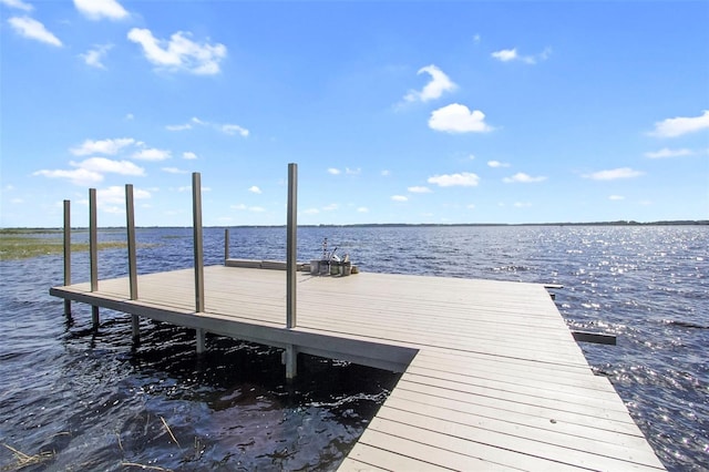 5575 Alligator Lake Rd, Saint Cloud, FL 34772 - photo 27