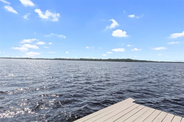 5575 Alligator Lake Rd, Saint Cloud, FL 34772 - photo 28