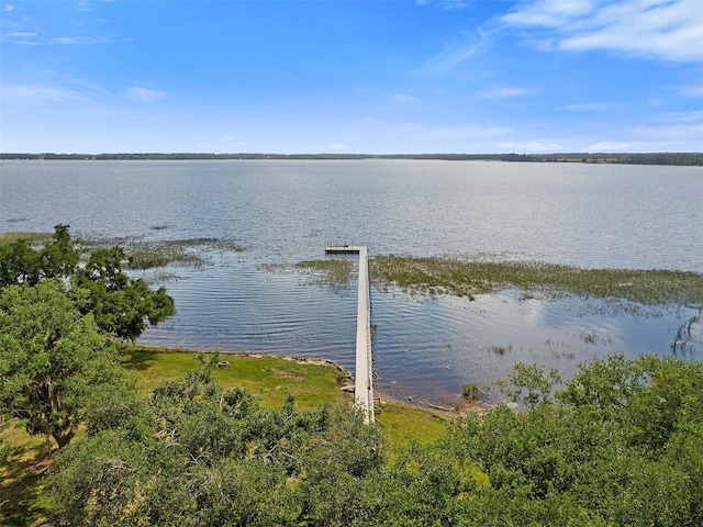 5575 Alligator Lake Rd, Saint Cloud, FL 34772 - photo 29