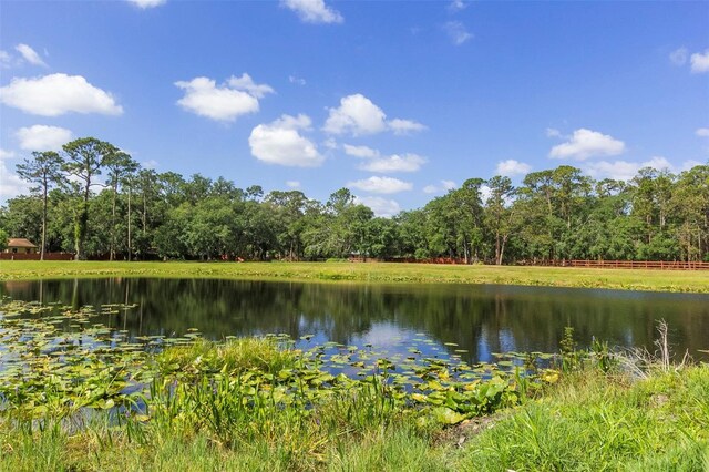 Marjorie Rd, Saint Cloud, FL 34772 - photo 6