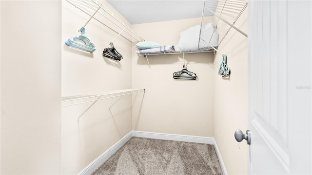 spacious closet with carpet flooring