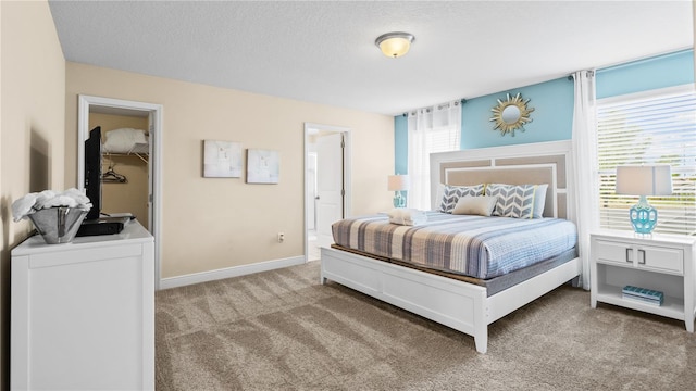 carpeted bedroom featuring multiple windows, a spacious closet, and a textured ceiling