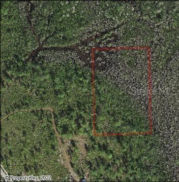 Holopaw Groves Rd, Saint Cloud FL, 34773 land for sale