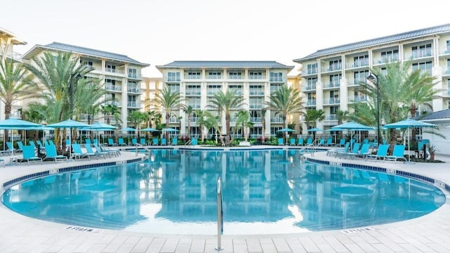 view of pool featuring a patio