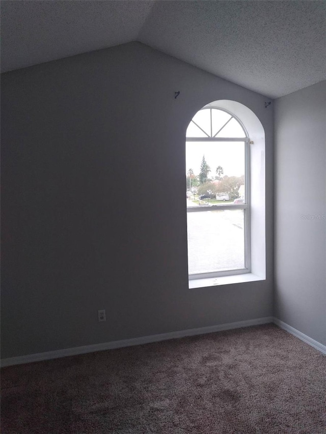 spare room with lofted ceiling, carpet floors, and a textured ceiling